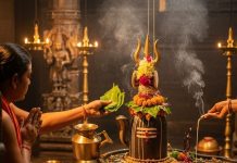 Mahashivratri 2026 Shami Patra Upay for Money & Marriage। महाशिवरात्रि 2026 पर शमी की पत्तियों से करें असरदार उपाय