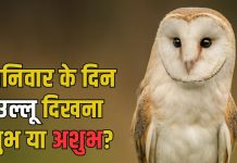 Saturday Beliefs shanivar ko ullu dikhna shubh ya ashubh । शनिवार को उल्लू दिखना शुभ या अशुभ