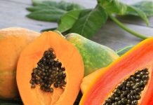 papaya seeds health benefits, पपीते के बीज खाने के फायदे वजन घटाने, इम्युनिटी और हार्ट हेल्थ के लिए.