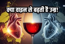 Red vs white wine, वाइन पीने के फायदे और नुकसान क्या हैं जानें सही मात्रा और सेहत पर असर.
