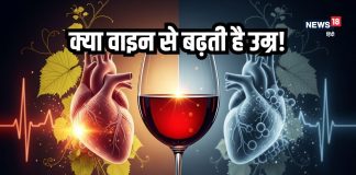 Red vs white wine, वाइन पीने के फायदे और नुकसान क्या हैं जानें सही मात्रा और सेहत पर असर.