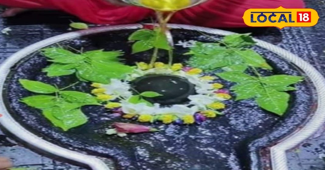 इस परंपरा के बिना महाशिवरात्रि पर नहीं कर पाएंगे बाबा बैद्यनाथधाम में रुद्राभिषेक और स्पर्श पूजा, जानें नियम
