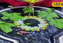 इस परंपरा के बिना महाशिवरात्रि पर नहीं कर पाएंगे बाबा बैद्यनाथधाम में रुद्राभिषेक और स्पर्श पूजा, जानें नियम