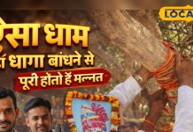 ओम बन्ना धाम का मन्नत वाला पवित्र पेड़! धागा बांधने से पूरी होती है हर मनोकामना, जानिए इसका रहस्य