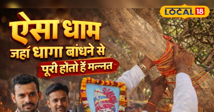 ओम बन्ना धाम का मन्नत वाला पवित्र पेड़! धागा बांधने