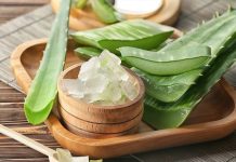 सिर से पैर तक की बीमारियों का इलाज है ये पौधा, एक्सपर्ट ने बताए फायदे