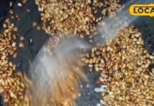 कुलथी दाल को बनाएं स्वादिष्ट, जानिए राधिका प्रजापति की खास रेसिपी