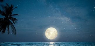 Chandra Grahan 2026 | March 2026 lunar eclipse | आज कौन सा ग्रहण है, चंद्र ग्रहण और सूर्य ग्रहण में क्या अंतर होता है, पूर्ण कब होता है?