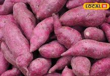 शकरकंद है विटामिन का भंडार, हड्डियों से लेकर दिल तक के लिए फायदेमंद, जानिए इसे कब खाना चाहिए
