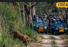 वाल्मीकि टाइगर रिजर्व जंगल सफारी और खूबसूरत स्थलों की यात्रा गाइड.