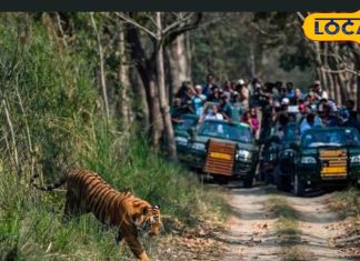 वाल्मीकि टाइगर रिजर्व जंगल सफारी और खूबसूरत स्थलों की यात्रा गाइड.