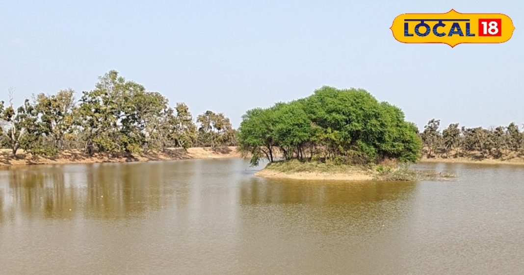 गर्मियों में यहां होगा ठंडक का अहसास, प्रकृति का अद्भुत रूप, यादगार होगा हर एक पल, जानें लोकेशन