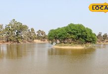 गर्मियों में यहां होगा ठंडक का अहसास, प्रकृति का अद्भुत रूप, यादगार होगा हर एक पल, जानें लोकेशन