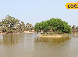 गर्मियों में यहां होगा ठंडक का अहसास, प्रकृति का अद्भुत रूप, यादगार होगा हर एक पल, जानें लोकेशन