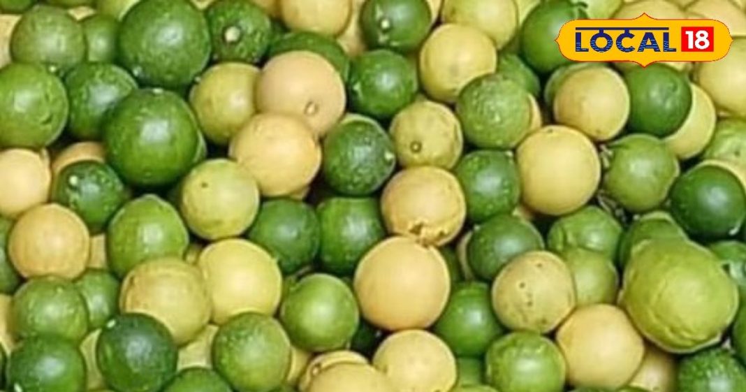 आप भी करते हैं नींबू का सेवन, तो हो जाएं सावधान! फायदे की जगह हो सकता है नुकसान