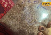 कोई पारले-जी कहे तो कोई घोड़ा, यह चावल डायबिटीज से लेकर डाइटिंग वालों का फेवरेट, खुशबू ऐसी महक उठेगा मोहल्ला