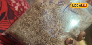 कोई पारले-जी कहे तो कोई घोड़ा, यह चावल डायबिटीज से लेकर डाइटिंग वालों का फेवरेट, खुशबू ऐसी महक उठेगा मोहल्ला