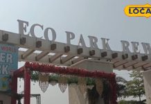 झरने का नज़ारा, रूफटॉप कैफे और एडवेंचर स्पोर्ट्स! रीवा का इको पार्क बना नया टूरिस्ट हॉटस्पॉट