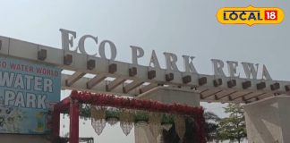 झरने का नज़ारा, रूफटॉप कैफे और एडवेंचर स्पोर्ट्स! रीवा का इको पार्क बना नया टूरिस्ट हॉटस्पॉट