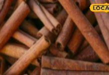 सेहत के लिए चमत्कारी औषधि है ये मसाला, मोटापा-डायबिटीज के लिए रामबाण, और भी हैं फायदे