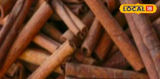 सेहत के लिए चमत्कारी औषधि है ये मसाला, मोटापा-डायबिटीज के लिए रामबाण, और भी हैं फायदे