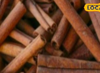 सेहत के लिए चमत्कारी औषधि है ये मसाला, मोटापा-डायबिटीज के लिए रामबाण, और भी हैं फायदे