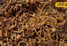 बादाम से भी महंगी सब्जी! राजस्थान की केर सांगरी क्यों है इतनी खास, जानिए इसकी रेसिपी