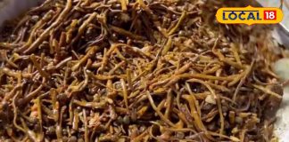 बादाम से भी महंगी सब्जी! राजस्थान की केर सांगरी क्यों है इतनी खास, जानिए इसकी रेसिपी