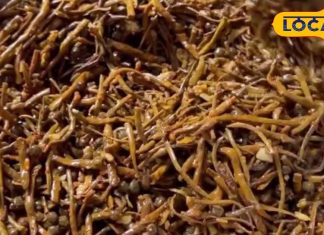 बादाम से भी महंगी सब्जी! राजस्थान की केर सांगरी क्यों है इतनी खास, जानिए इसकी रेसिपी