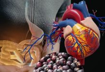 Phalsa Health Benefits: गर्मी में फालसा खाने के फायदे