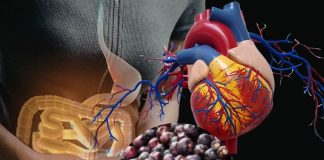 Phalsa Health Benefits: गर्मी में फालसा खाने के फायदे