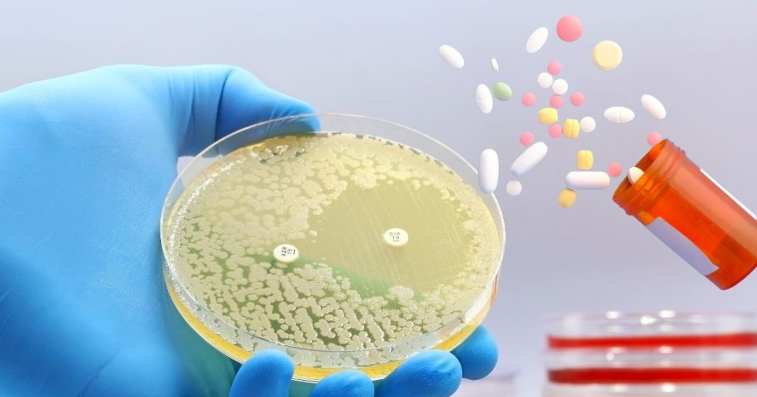 कुछ एंटीबायोटिक दवाएं लिवर को ज्यादा नुकसान क्यों पहुंचाती हैं? आईआईटी बॉम्बे की स्टडी में बड़ा खुलासा