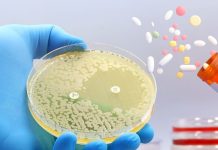 कुछ एंटीबायोटिक दवाएं लिवर को ज्यादा नुकसान क्यों पहुंचाती हैं? आईआईटी बॉम्बे की स्टडी में बड़ा खुलासा