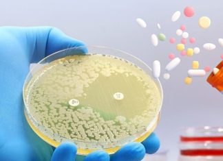 कुछ एंटीबायोटिक दवाएं लिवर को ज्यादा नुकसान क्यों पहुंचाती हैं? आईआईटी बॉम्बे की स्टडी में बड़ा खुलासा