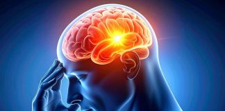 ब्रेन को रखना है 100 साल तक हेल्दी? अमेरिकी डॉक्टर ने बताया सॉलिड फॉर्मूला, एक बार आजमाकर देखिए