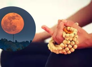 chandra grahan 2026 Chant powerful mantra remove negative effects of Rahu and Ketu | चंद्र ग्रहण 3:20 पर आरंभ, गर्भवती महिलाएं समेत सभी इन शक्तिशाली म