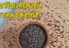 लगातार बढ़ रहा है वजन? ये छोटे-छोटे दानें गलाएंगे पेट से चर्बी, जानें अन्य सेहत लाभ