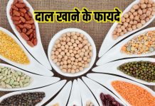 आयुर्वेद में इन 9 दालों को सेहत के लिए माना सुपरफूड, चिकन, अंडा से भी दोगुना प्रोटीन, ये हैं जबरदस्त फायदे, सेवन का तरीका