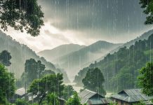 क्या आप जानते हैं भारत के किस राज्य में सबसे अधिक बारिश होती है? जानिये इसका पैमाना