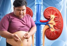 पेशाब से जुड़ी कई बीमारियों की जड़ है मोटापा ! इन लक्षणों को नजरअंदाज बिल्कुल न करें, डॉक्टर ने कही यह बात