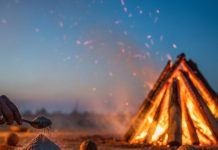 होलिका दहन 2026: घर में बार-बार बढ़ रही है परेशानी? तिजोरी से लेकर तरक्की तक! होलिका भस्म के ये टोटके कर देंगे कमाल