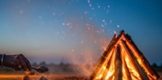 होलिका दहन 2026: घर में बार-बार बढ़ रही है परेशानी? तिजोरी से लेकर तरक्की तक! होलिका भस्म के ये टोटके कर देंगे कमाल